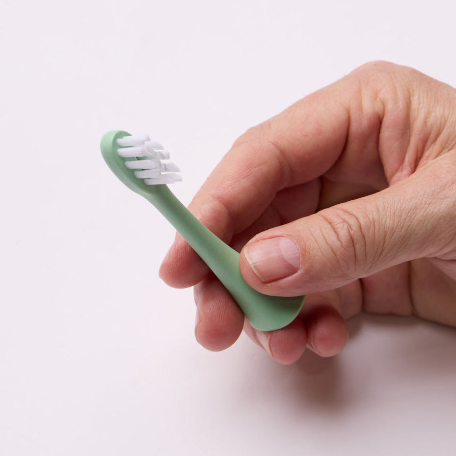 Hand holding a pistachio green Bepulo Next replacement brush head with white bristles.