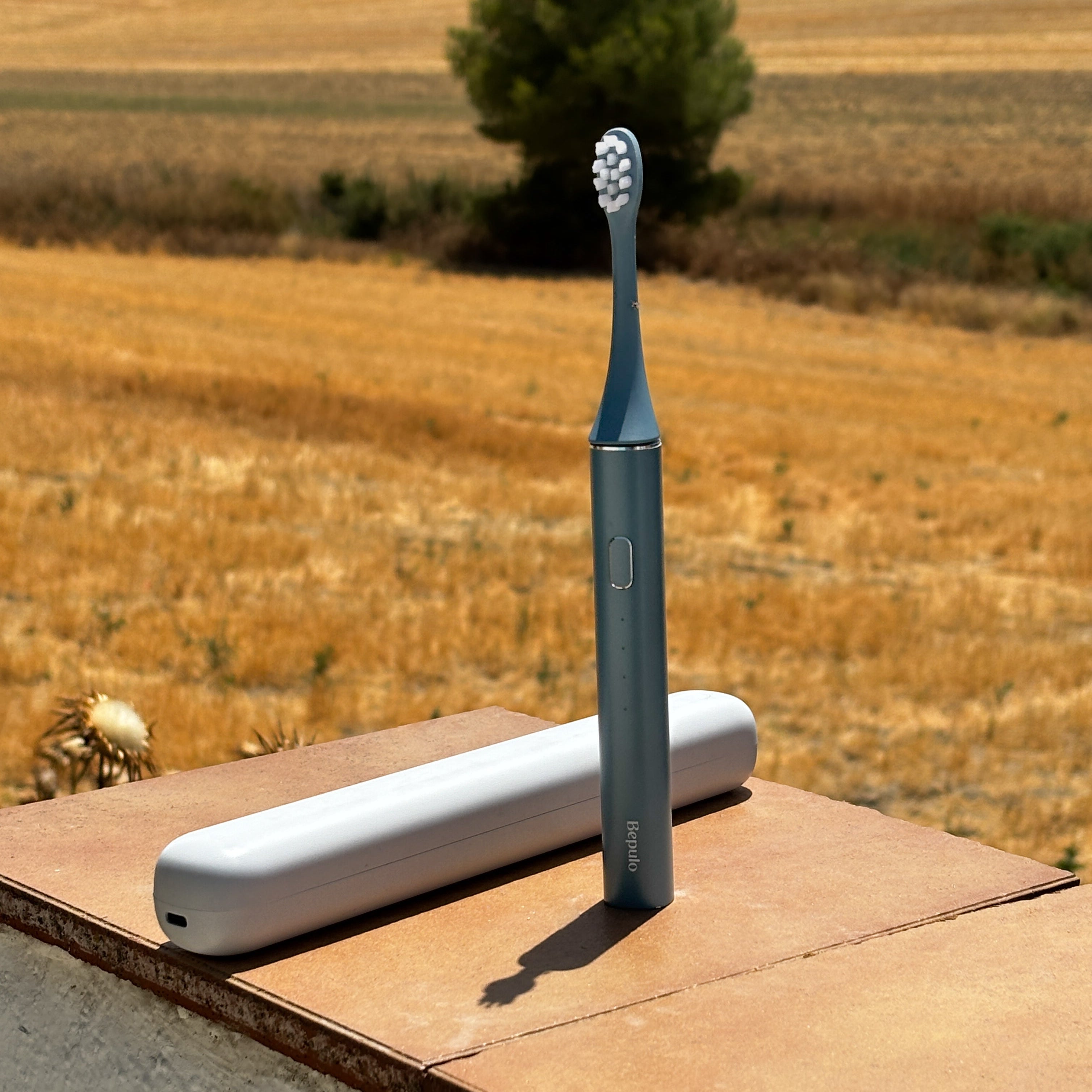 A blue electric toothbrush stands upright next to a white charging case on a wooden surface, with a blurred golden field and tree in the background.