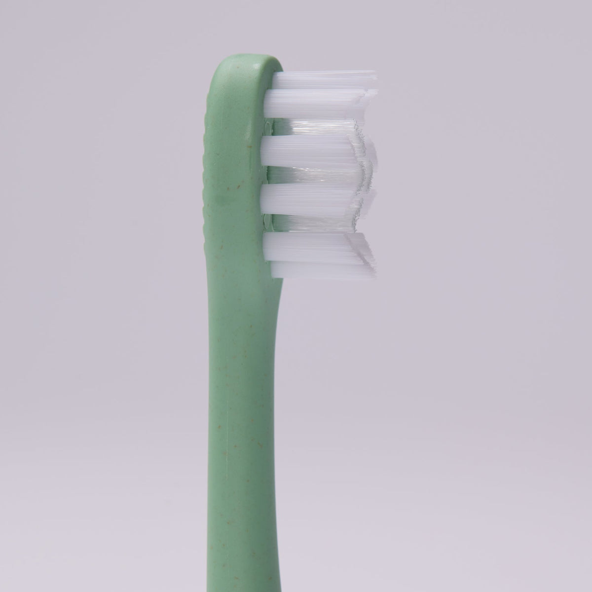 A close-up of a toothbrush head with a mint green handle and white bristles, set against a plain light gray background. #colour_pistachio green